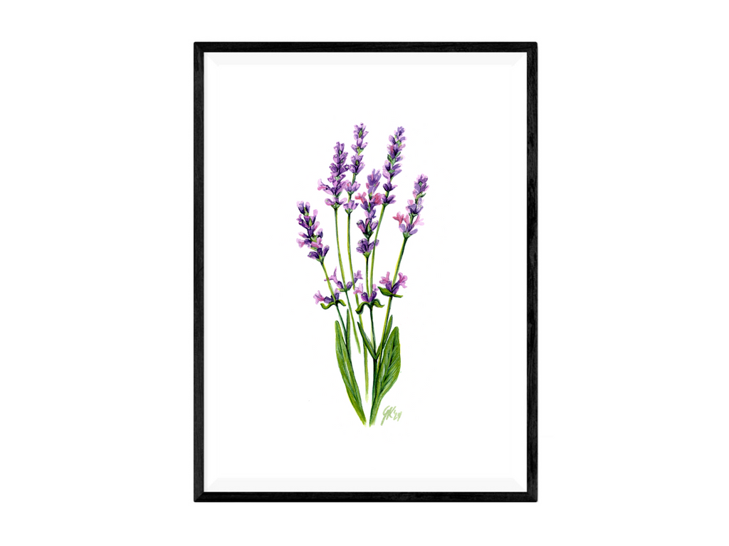 Lavendel - Fine Art Print | A3 | A4