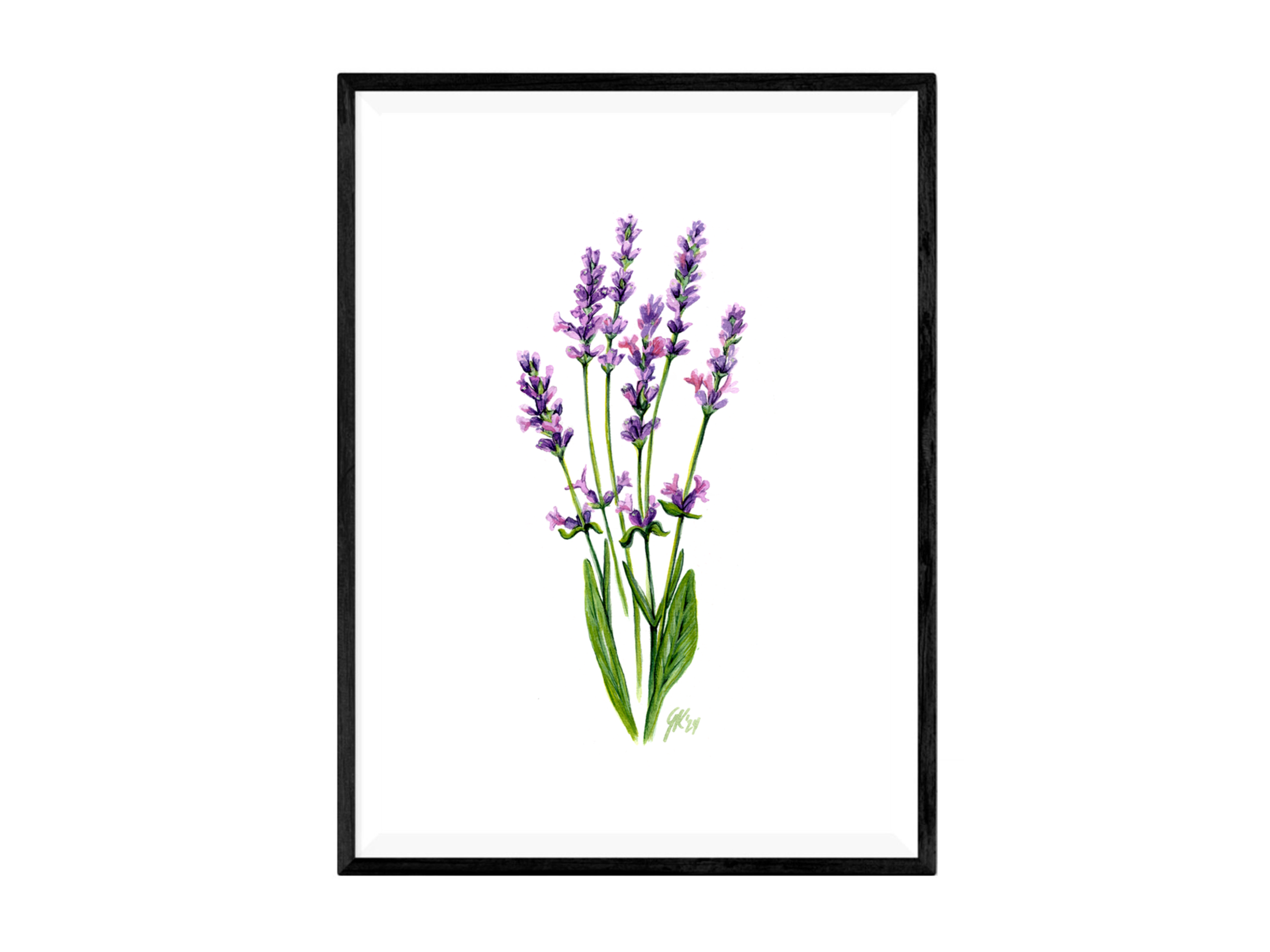 Lavendel - Fine Art Print | A3 | A4