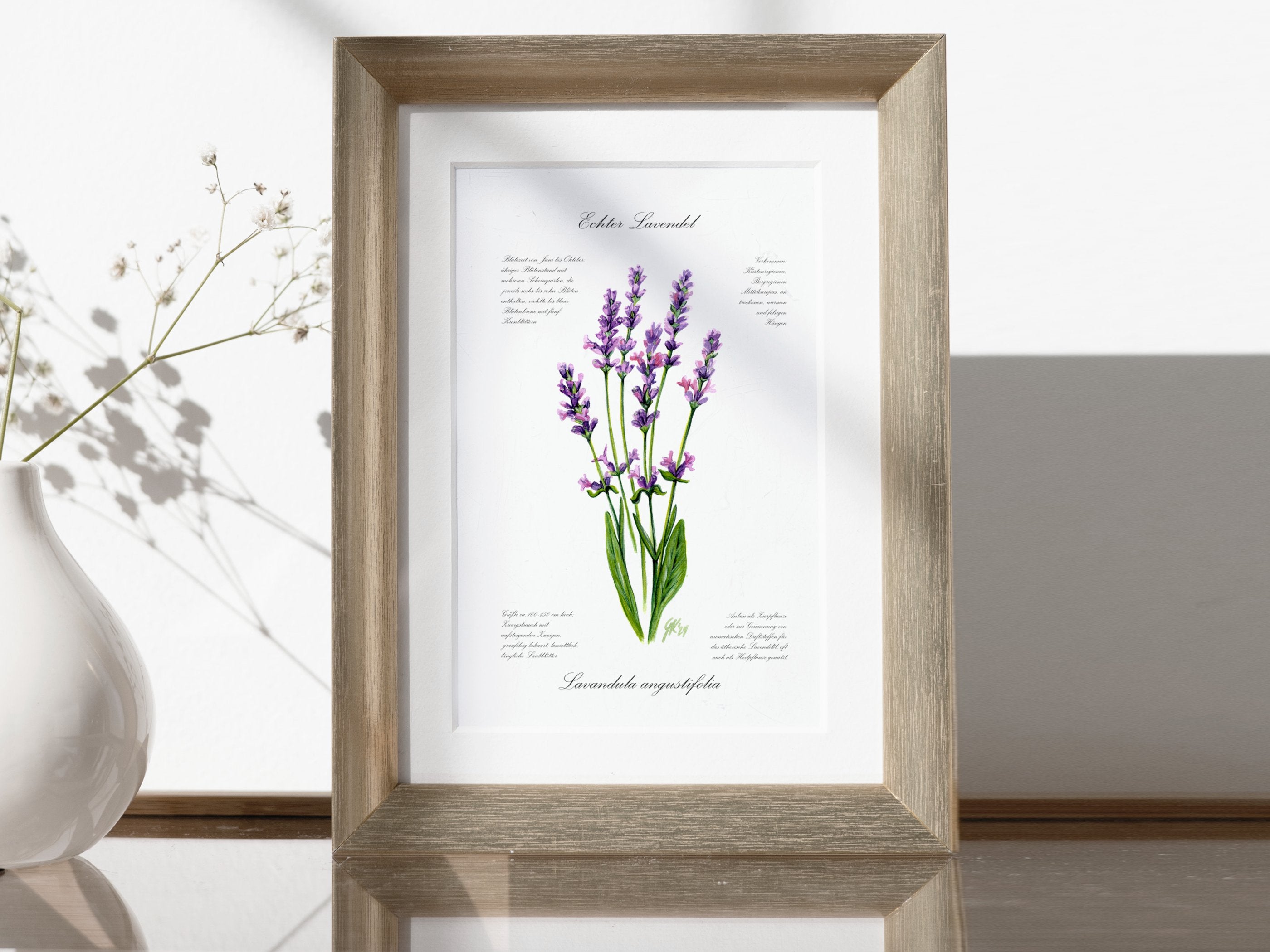 Lavendel - Fine Art Print | A3 | A4