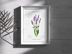 Lavendel - Fine Art Print | A3 | A4