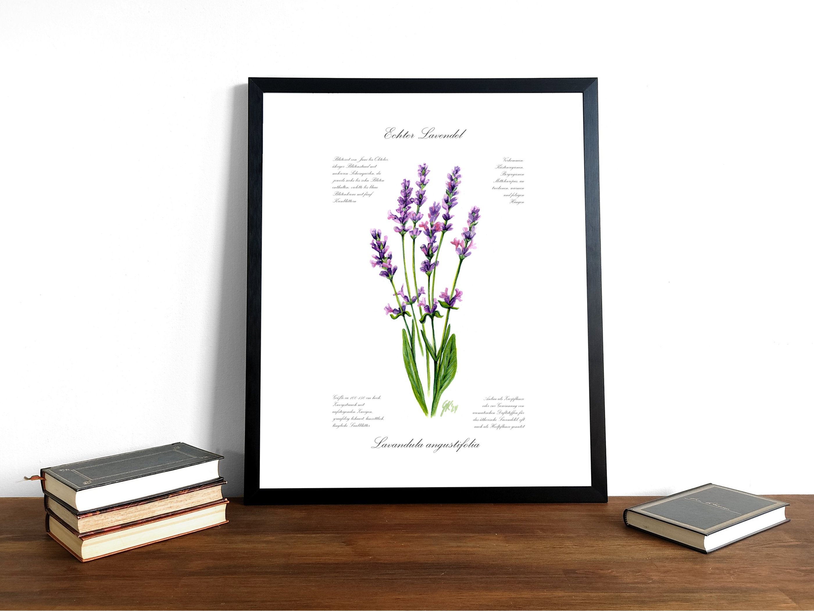 Lavendel - Fine Art Print | A3 | A4