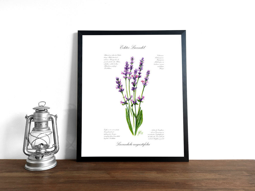 Lavendel - Fine Art Print | A3 | A4