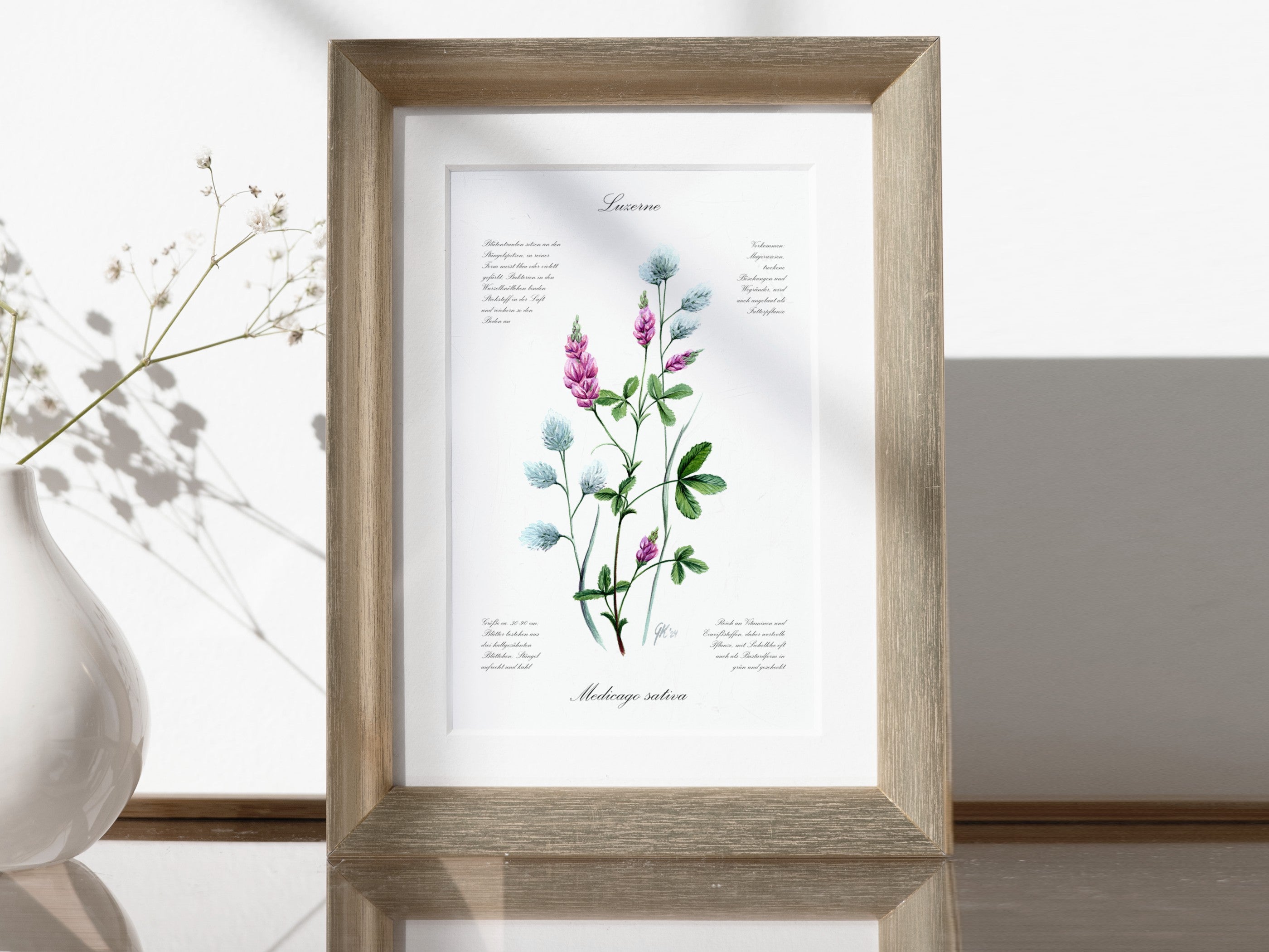 Luzerne - Fine Art Print | A3 | A4