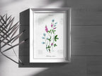 Luzerne - Fine Art Print | A3 | A4