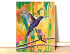 Dim Kolibri