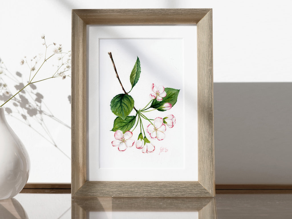 Blüte des Kulturapfels - Fine Art Print | A3 | A4