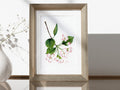 Blüte des Kulturapfels - Fine Art Print | A3 | A4