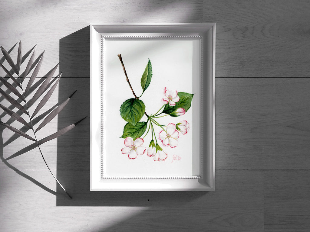Blüte des Kulturapfels - Fine Art Print | A3 | A4