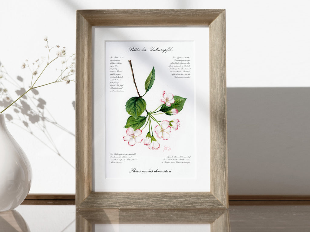 Blüte des Kulturapfels - Fine Art Print | A3 | A4