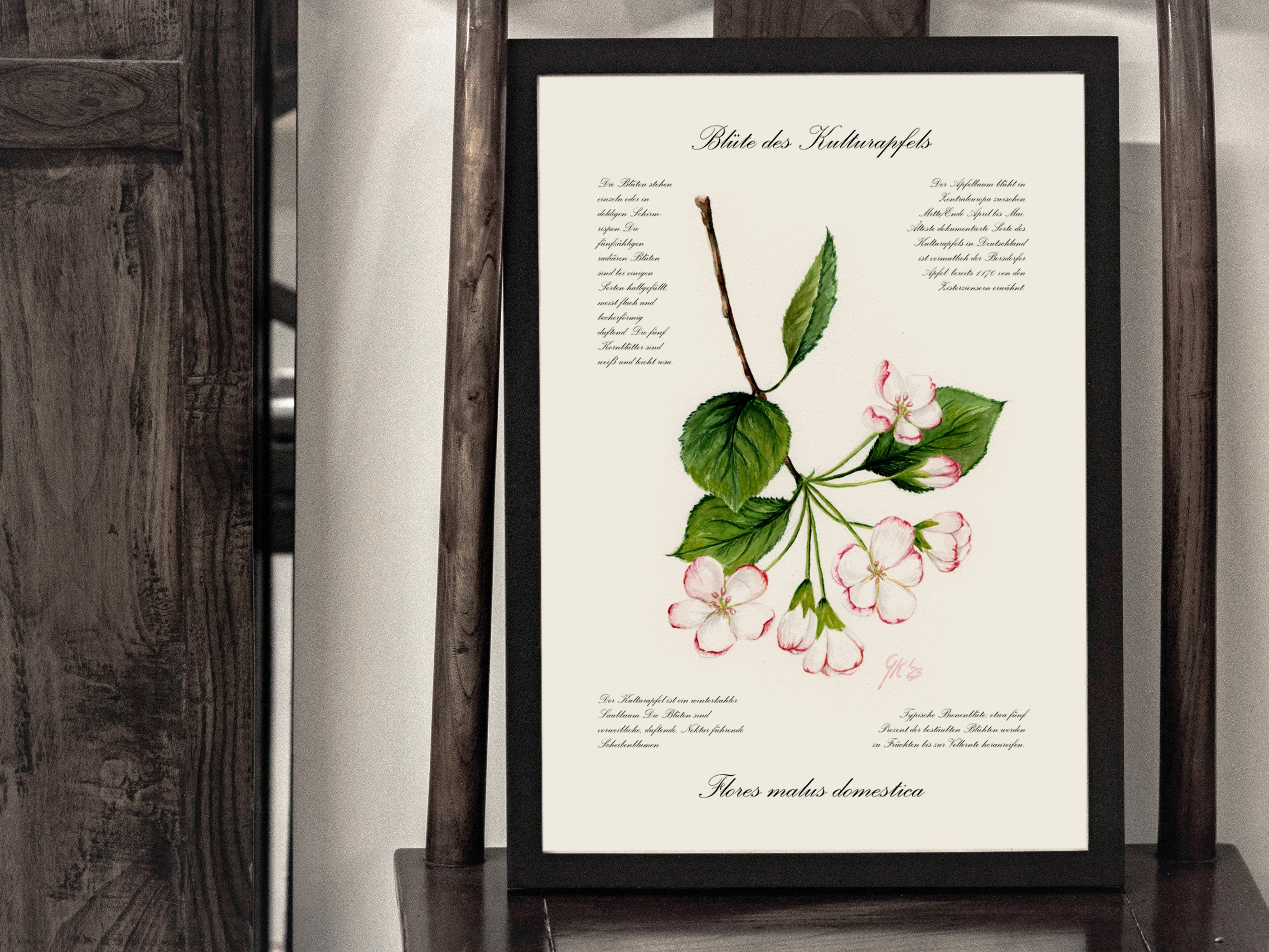 Blüte des Kulturapfels - Fine Art Print | A3 | A4