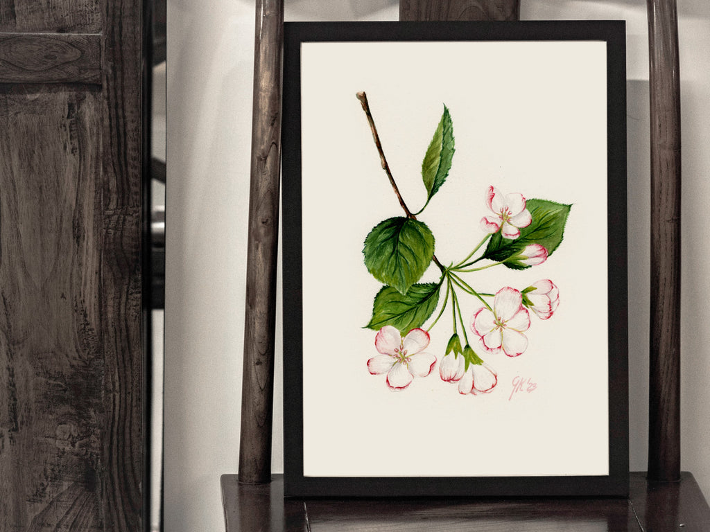 Blüte des Kulturapfels - Fine Art Print | A3 | A4