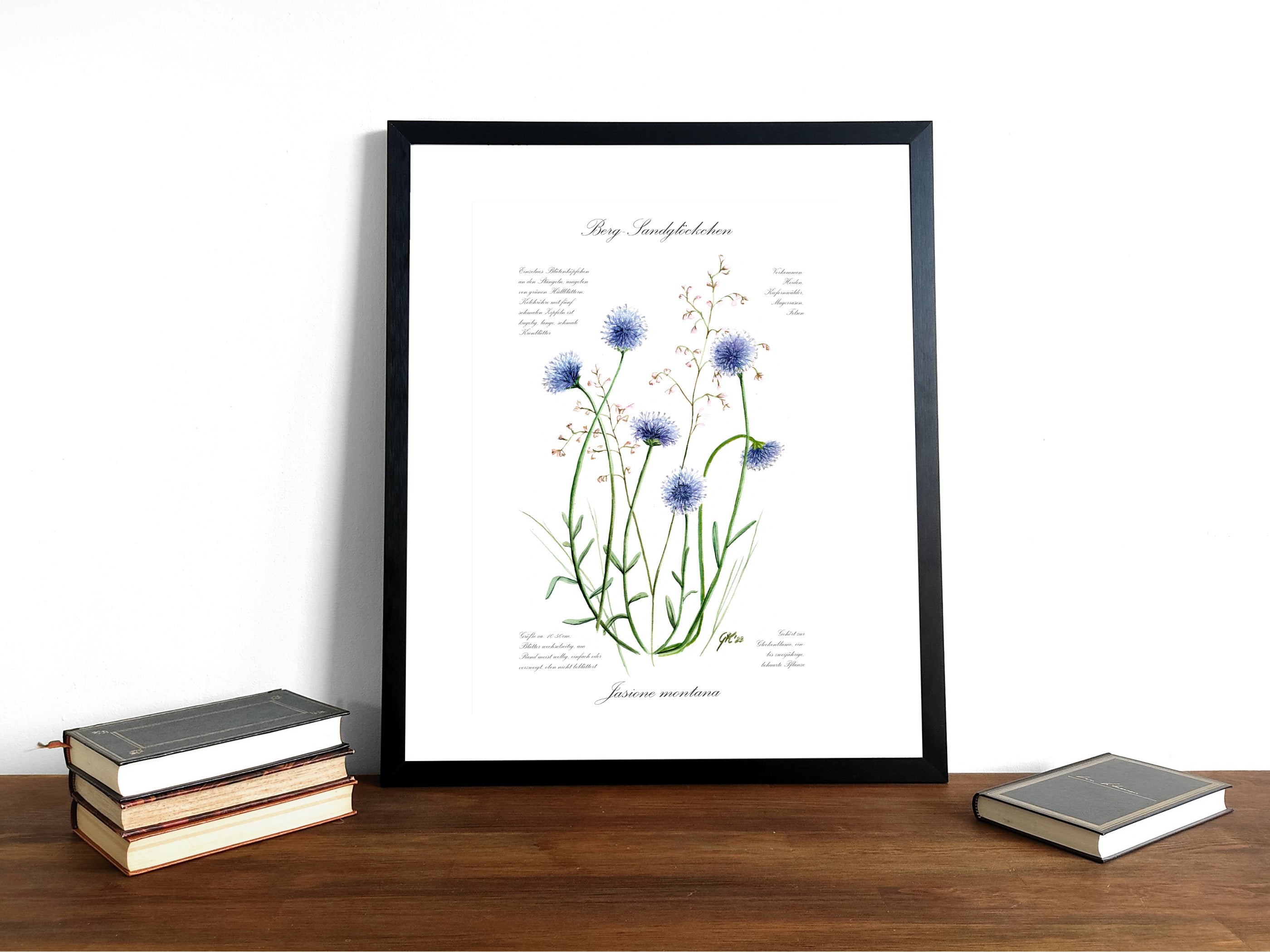 Berg-Sandglöckchen - Fine Art Print | A3 | A4