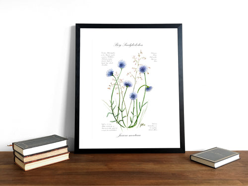 Berg-Sandglöckchen - Fine Art Print | A3 | A4