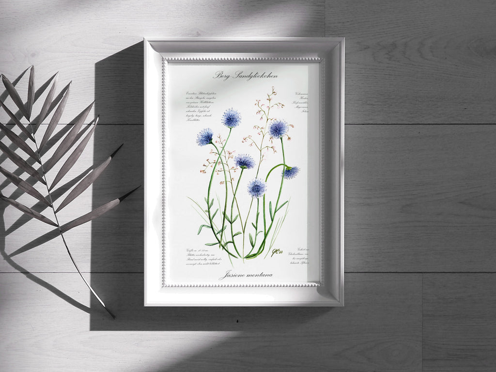 Berg-Sandglöckchen - Fine Art Print | A3 | A4
