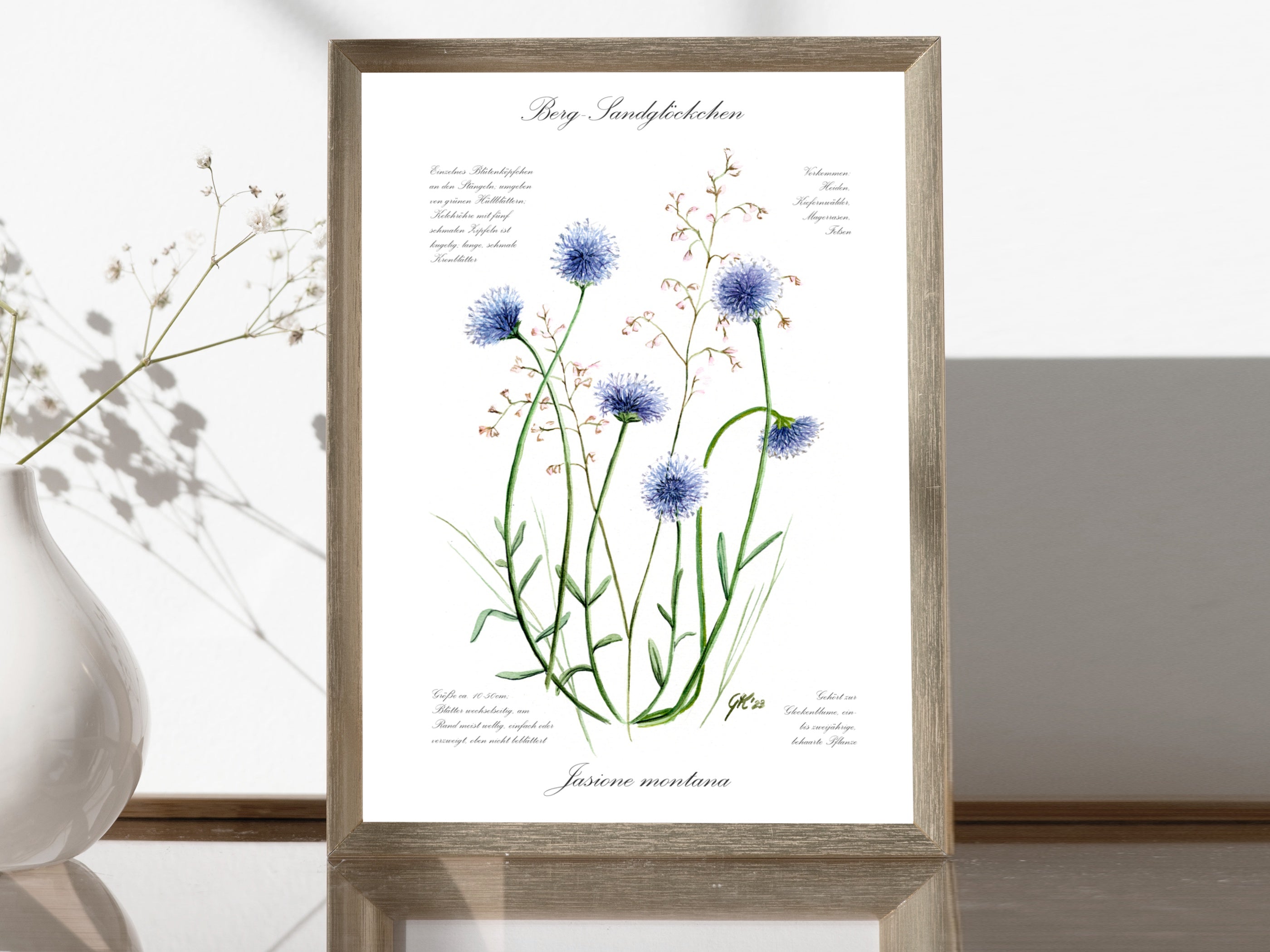 Berg-Sandglöckchen - Fine Art Print | A3 | A4
