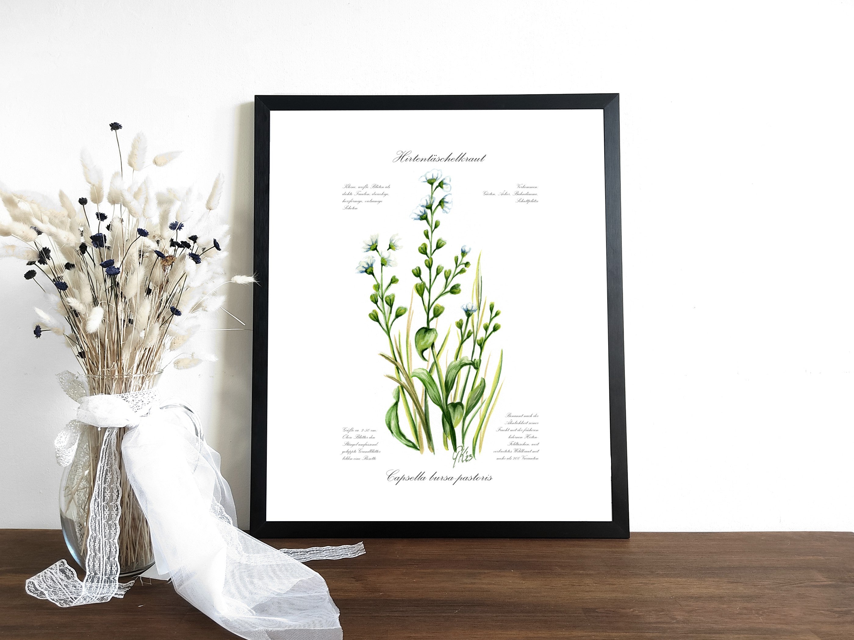 Hirtentaschenkraut - Fine Art Print | A3 | A4