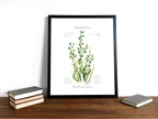 Hirtentaschenkraut - Fine Art Print | A3 | A4