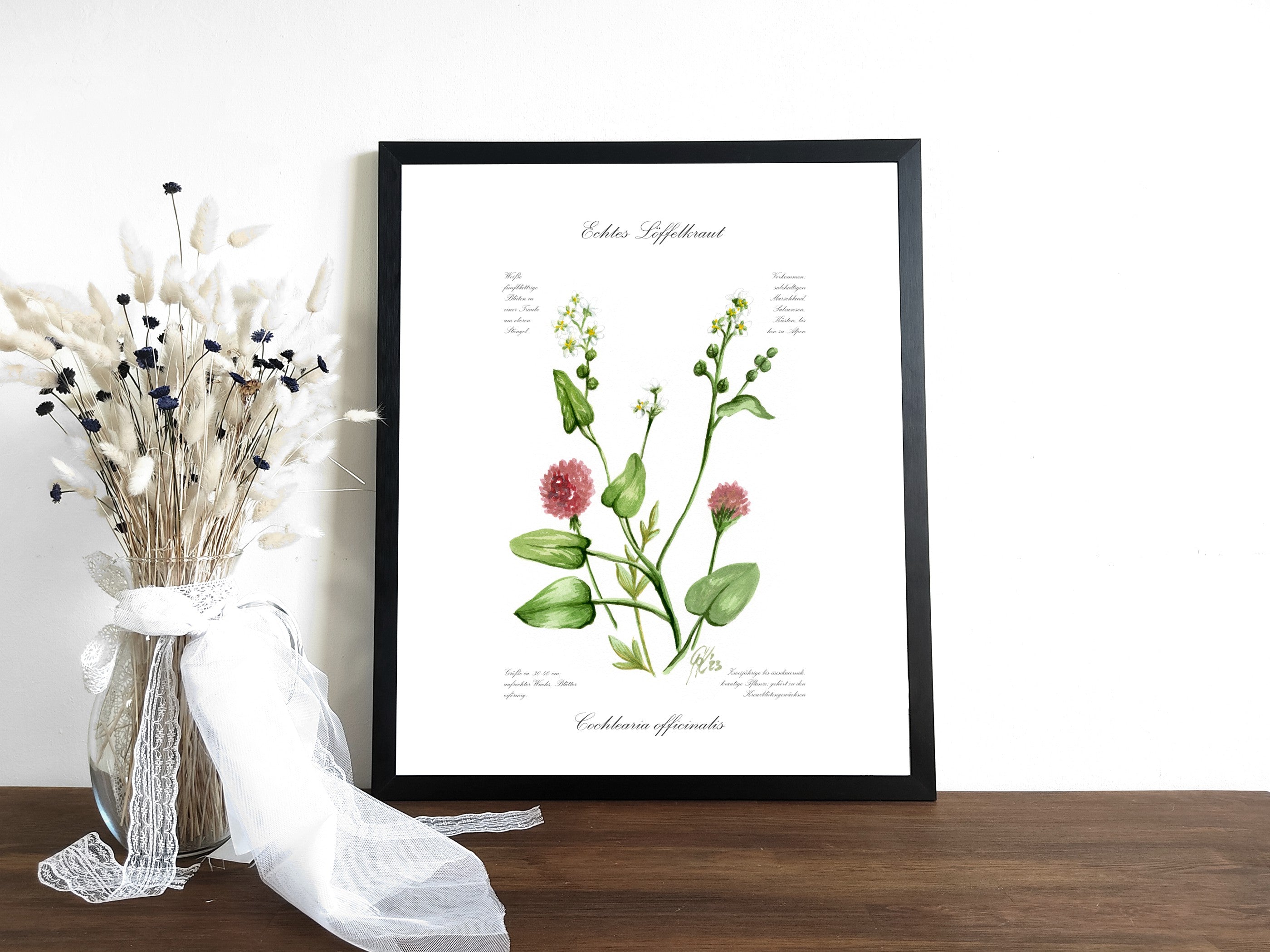 Löffelkraut - Fine Art Print | A3 | A4