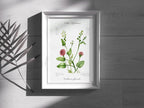 Löffelkraut - Fine Art Print | A3 | A4