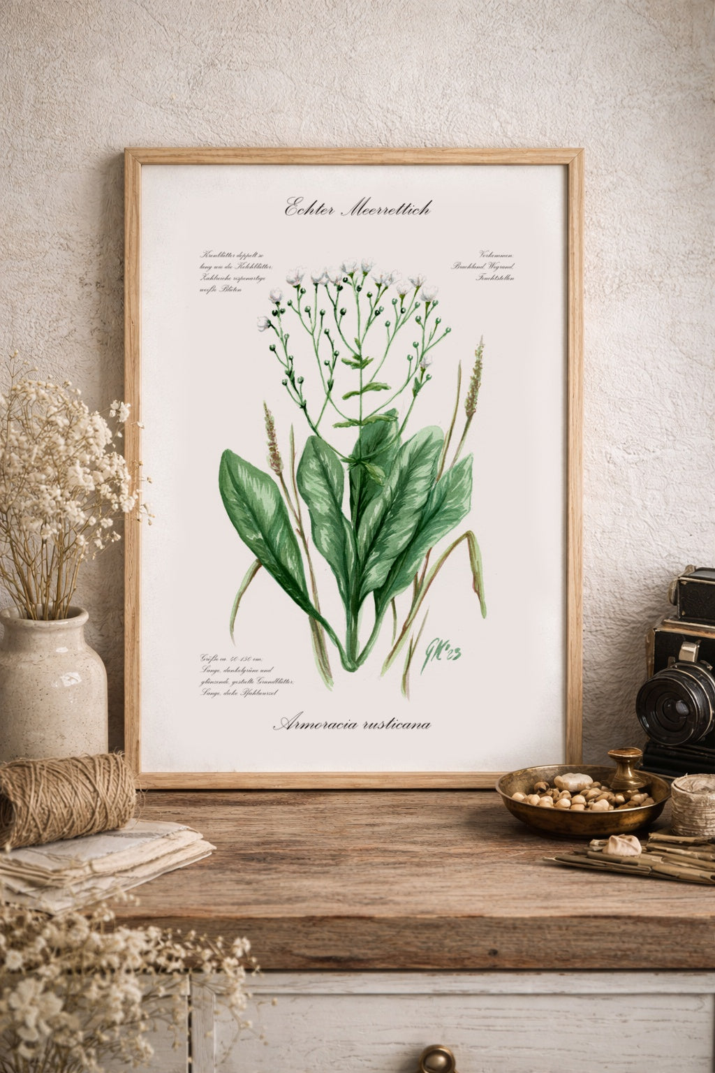 Echter Meerrettich - Fine Art Print | A3 | A4