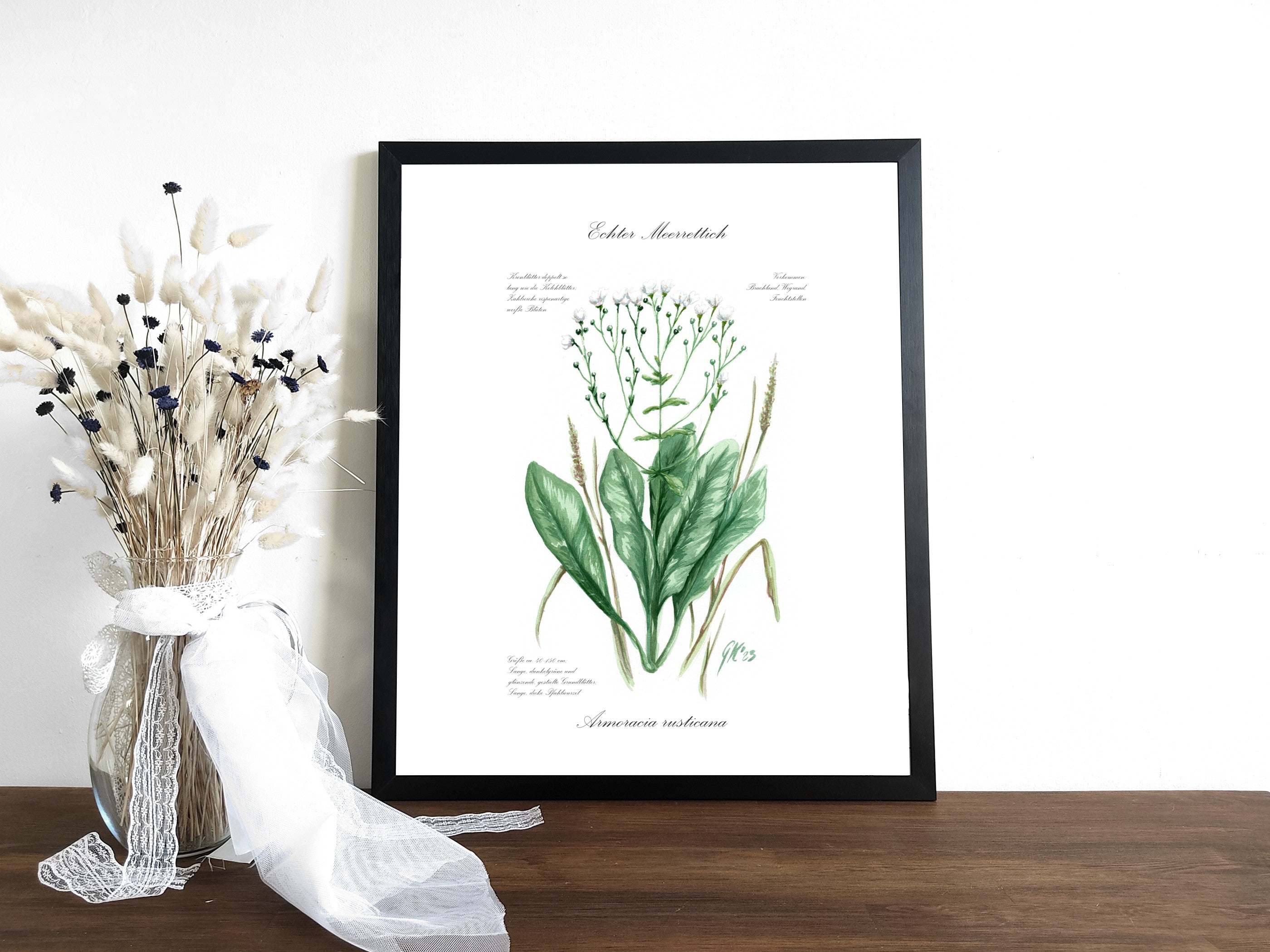 Echter Meerrettich - Fine Art Print | A3 | A4