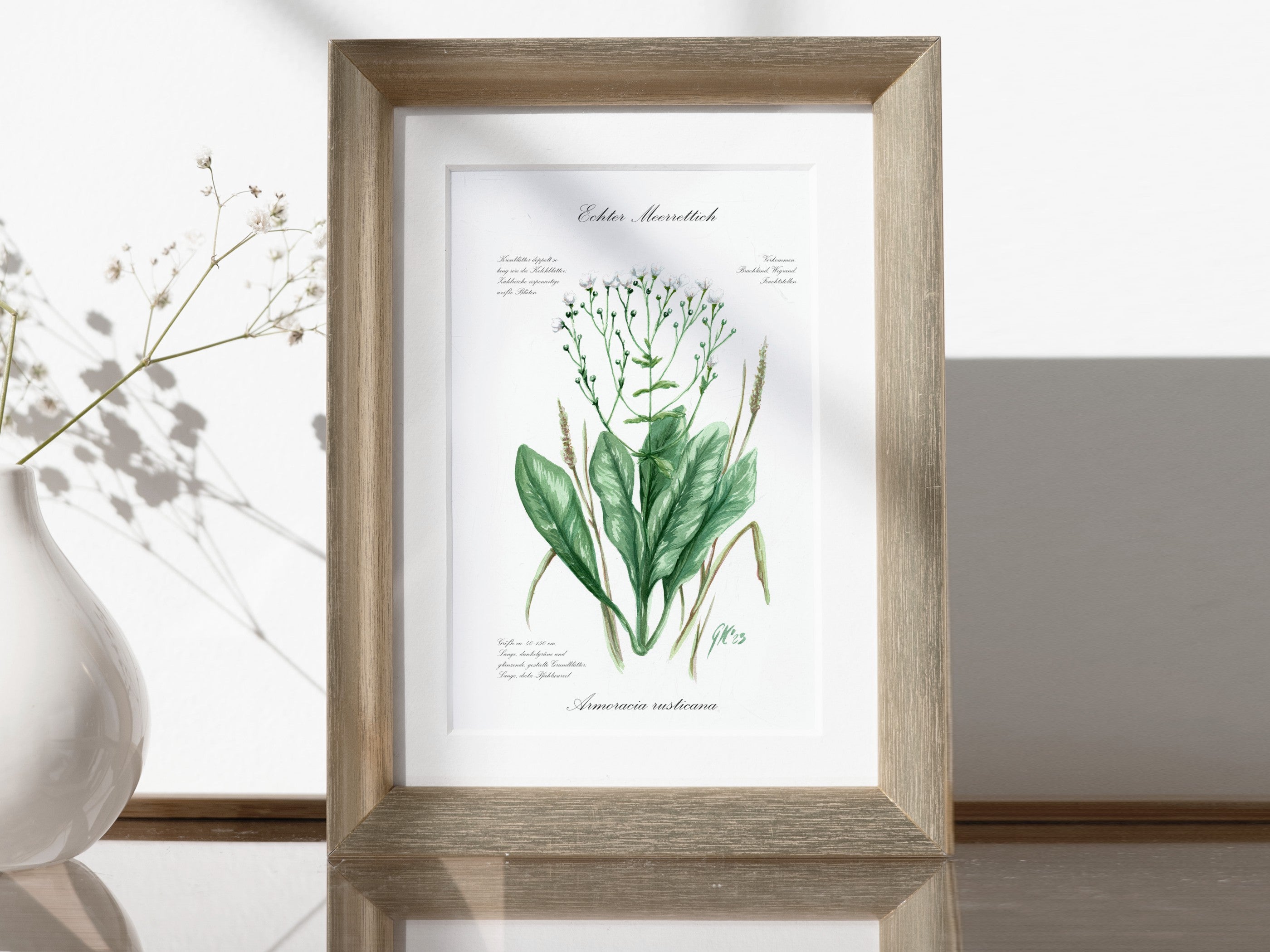 Echter Meerrettich - Fine Art Print | A3 | A4
