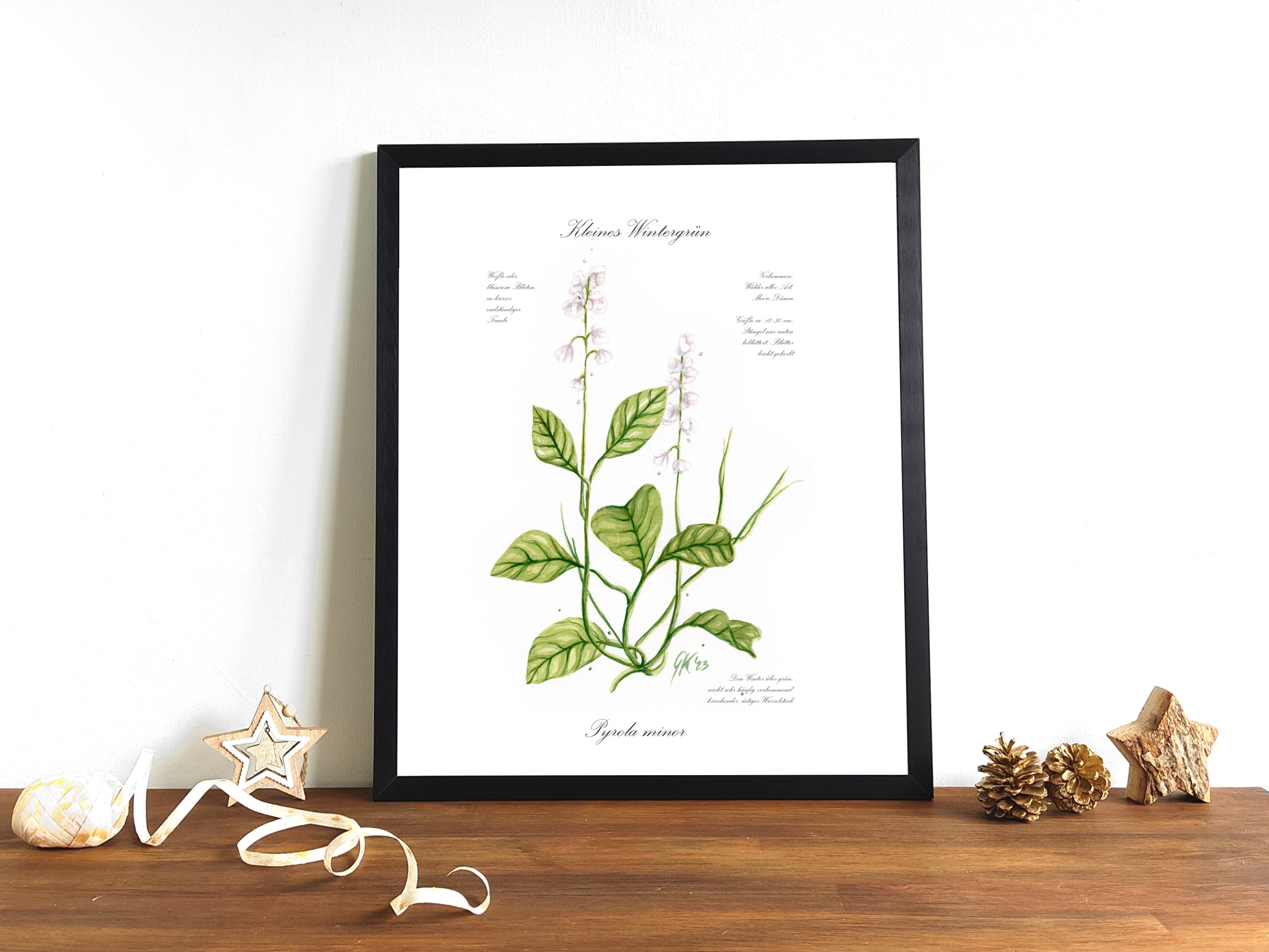 Kleines Wintergrün - Fine Art Print | A3 | A4