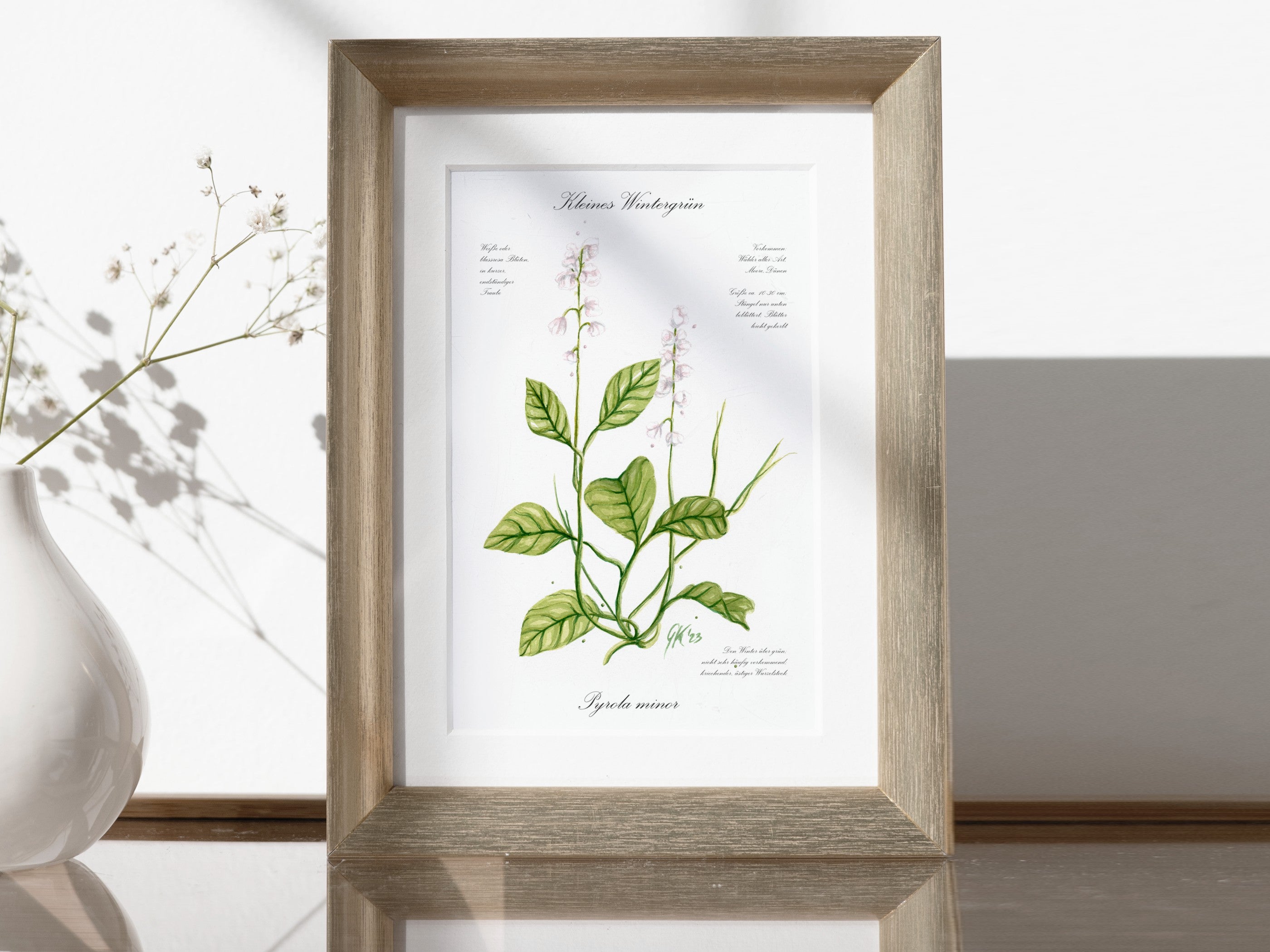 Kleines Wintergrün - Fine Art Print | A3 | A4