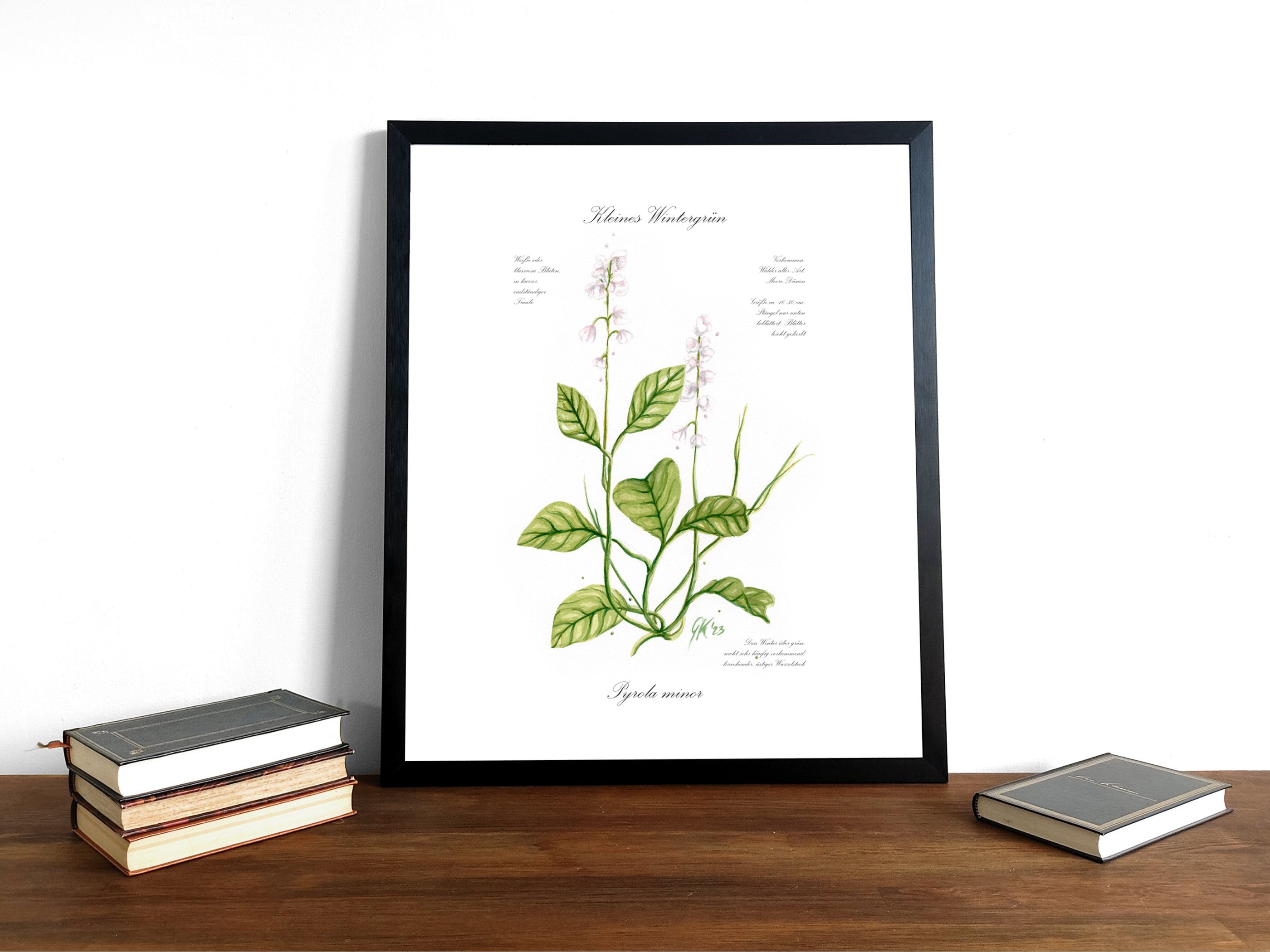 Kleines Wintergrün - Fine Art Print | A3 | A4