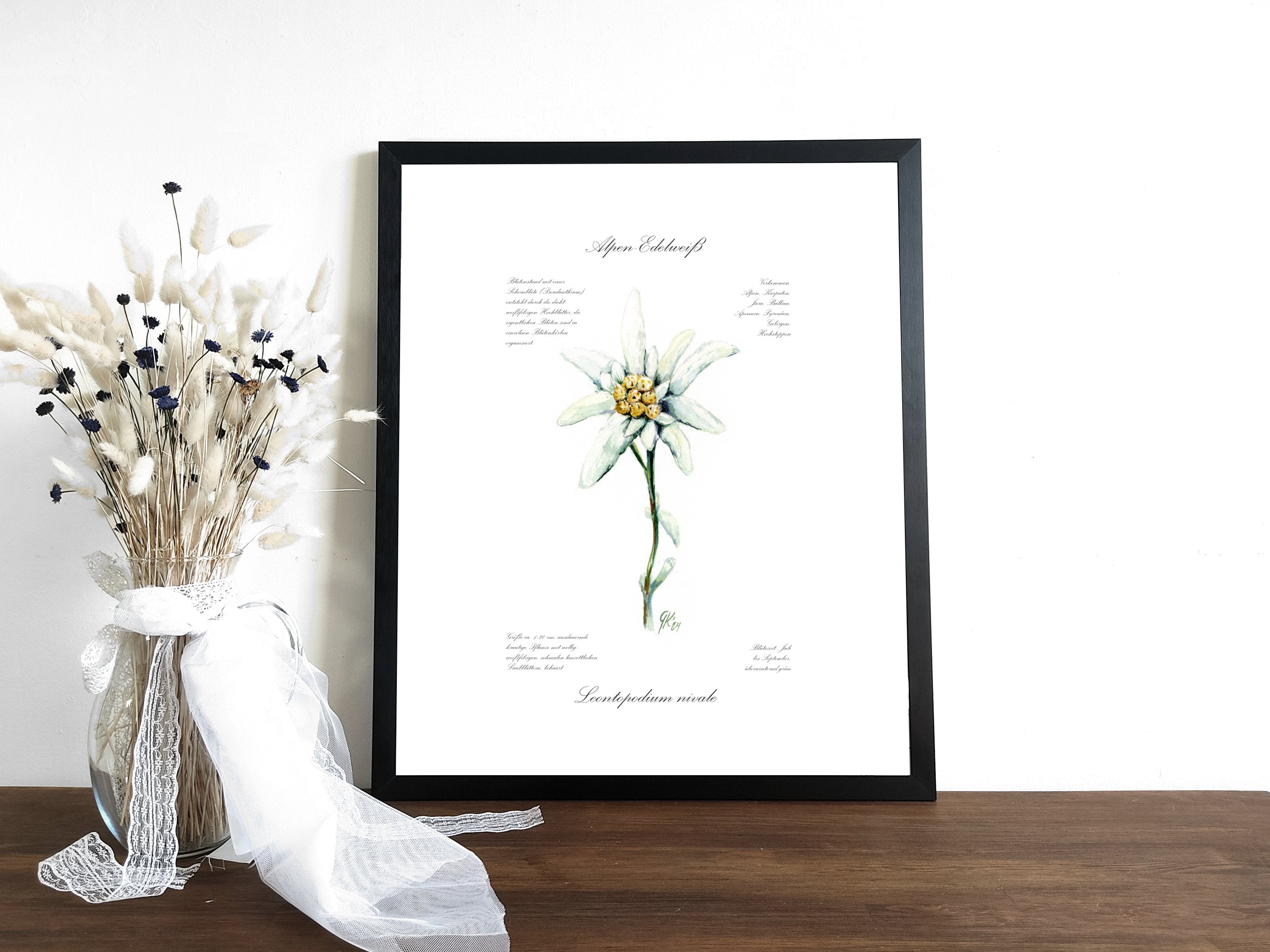 Edelweiß (fein) - Fine Art Print | A3 | A4