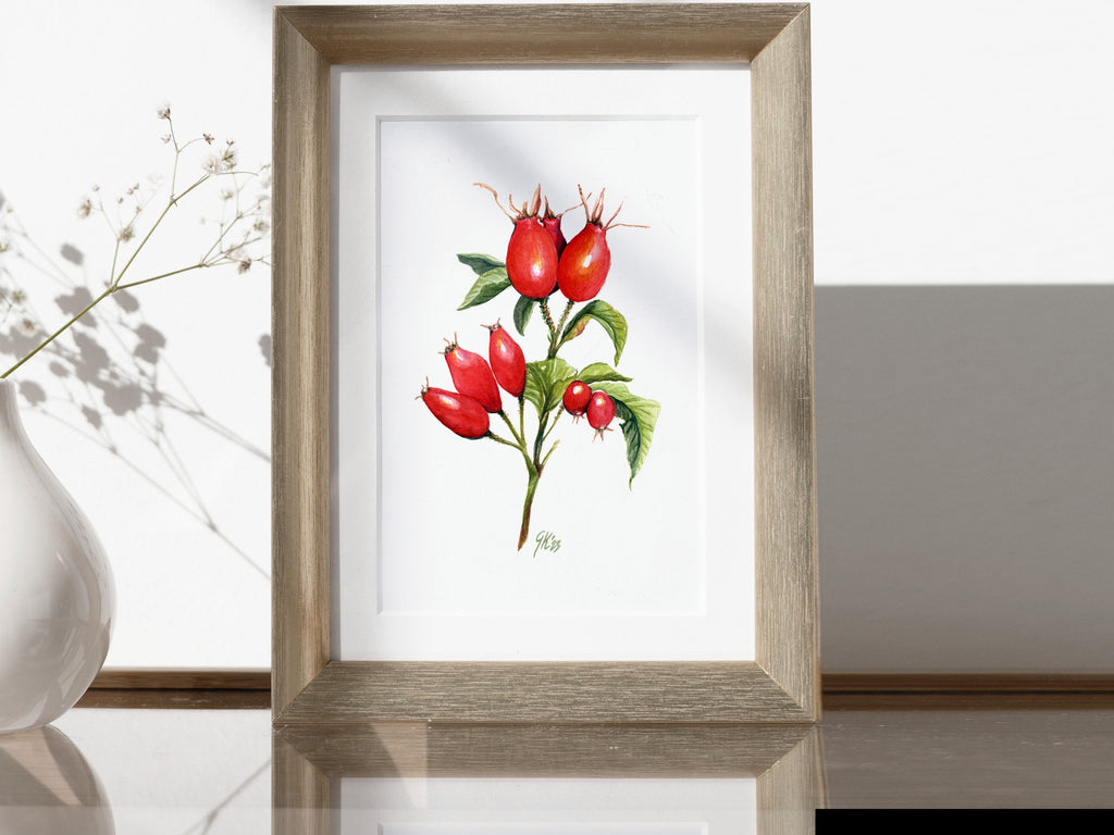 Hagebutte - Fine Art Print | A3 | A4