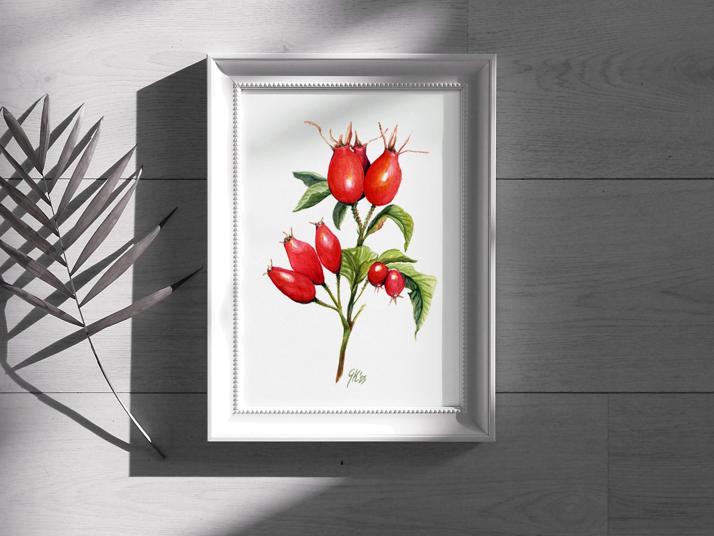 Hagebutte - Fine Art Print | A3 | A4