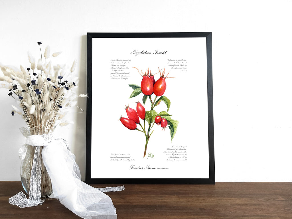 Hagebutte - Fine Art Print | A3 | A4