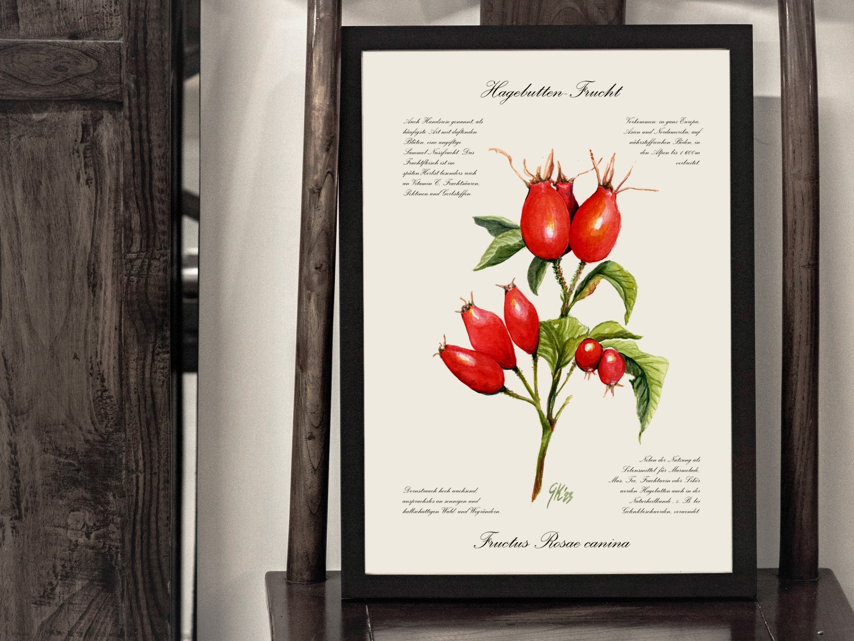 Hagebutte - Fine Art Print | A3 | A4