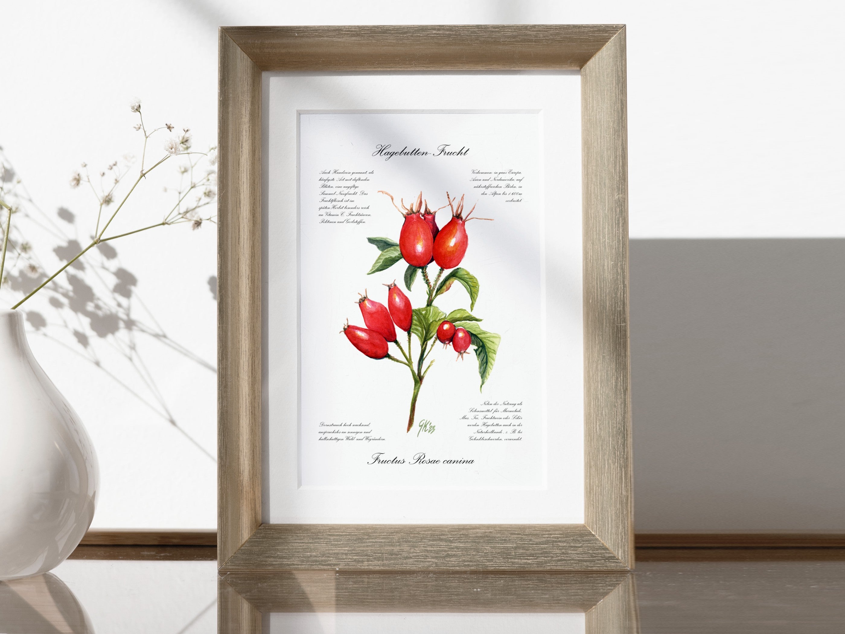 Hagebutte - Fine Art Print | A3 | A4