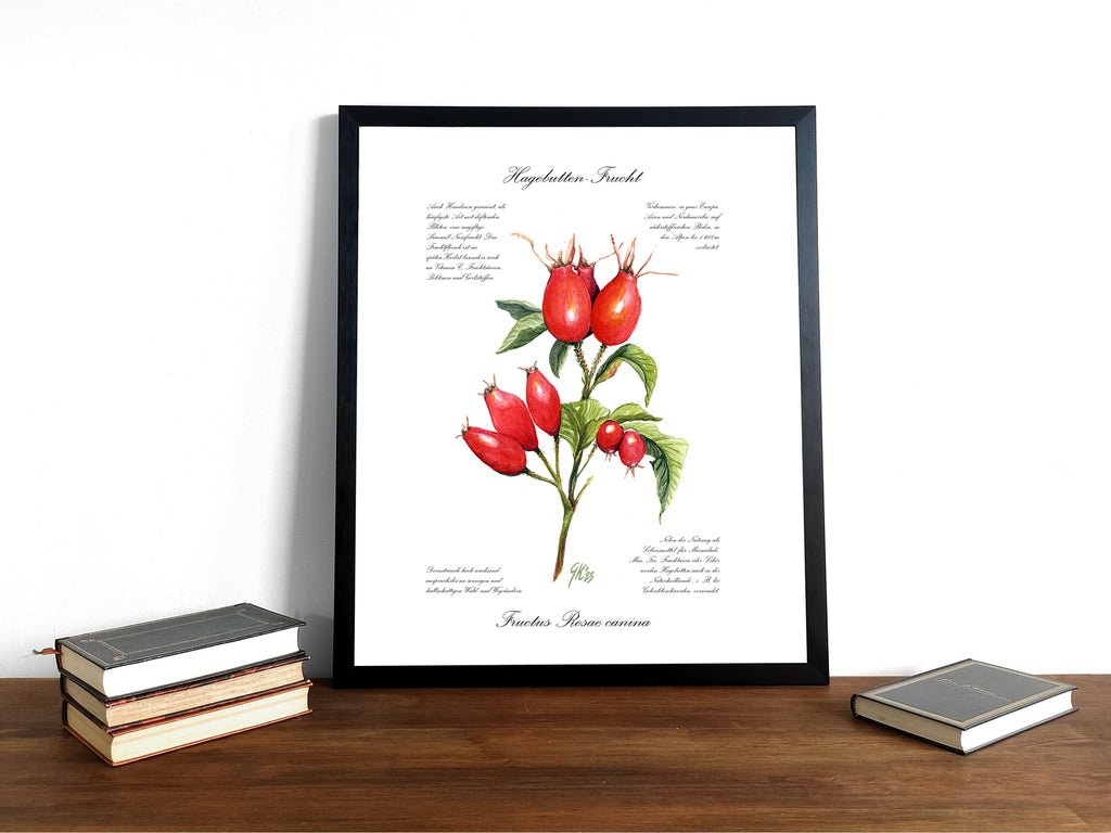 Hagebutte - Fine Art Print | A3 | A4