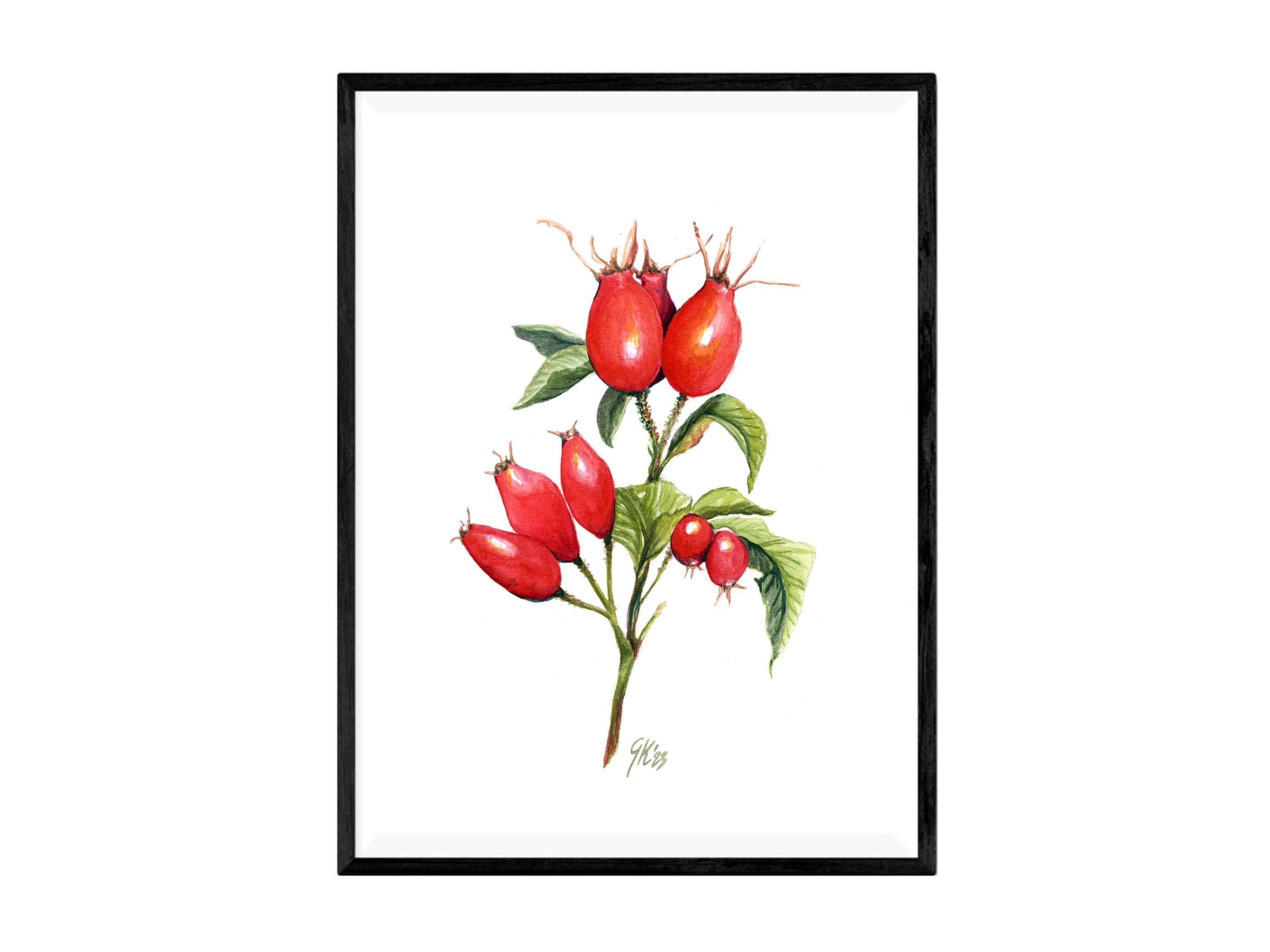 Hagebutte - Fine Art Print | A3 | A4
