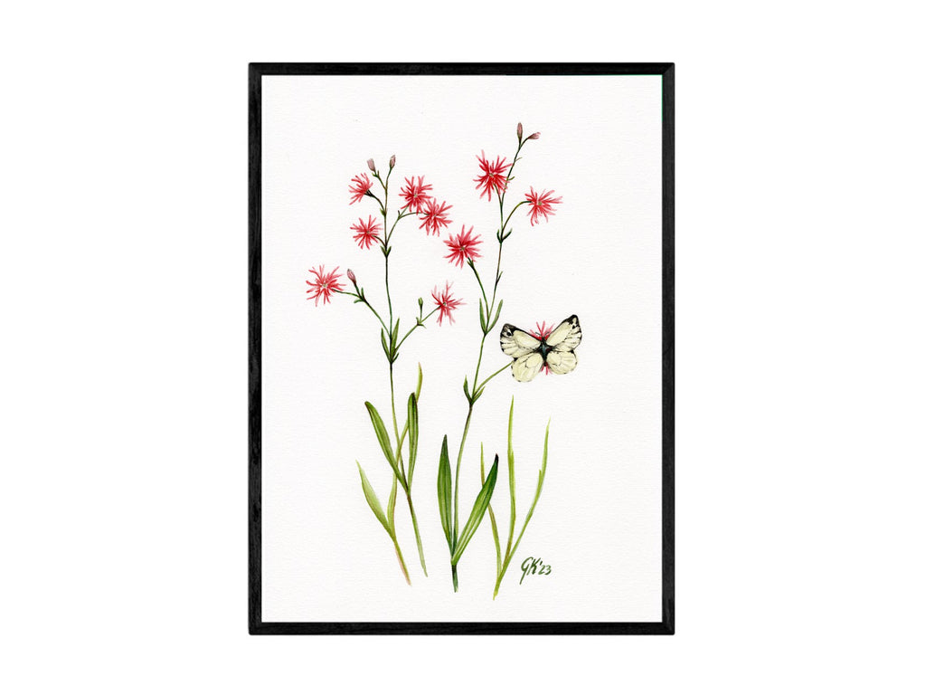 Kuckucks Lichtnelke - Fine Art Print | A3 | A4