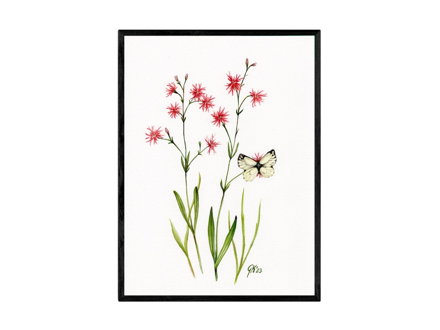 Kuckucks Lichtnelke - Fine Art Print | A3 | A4