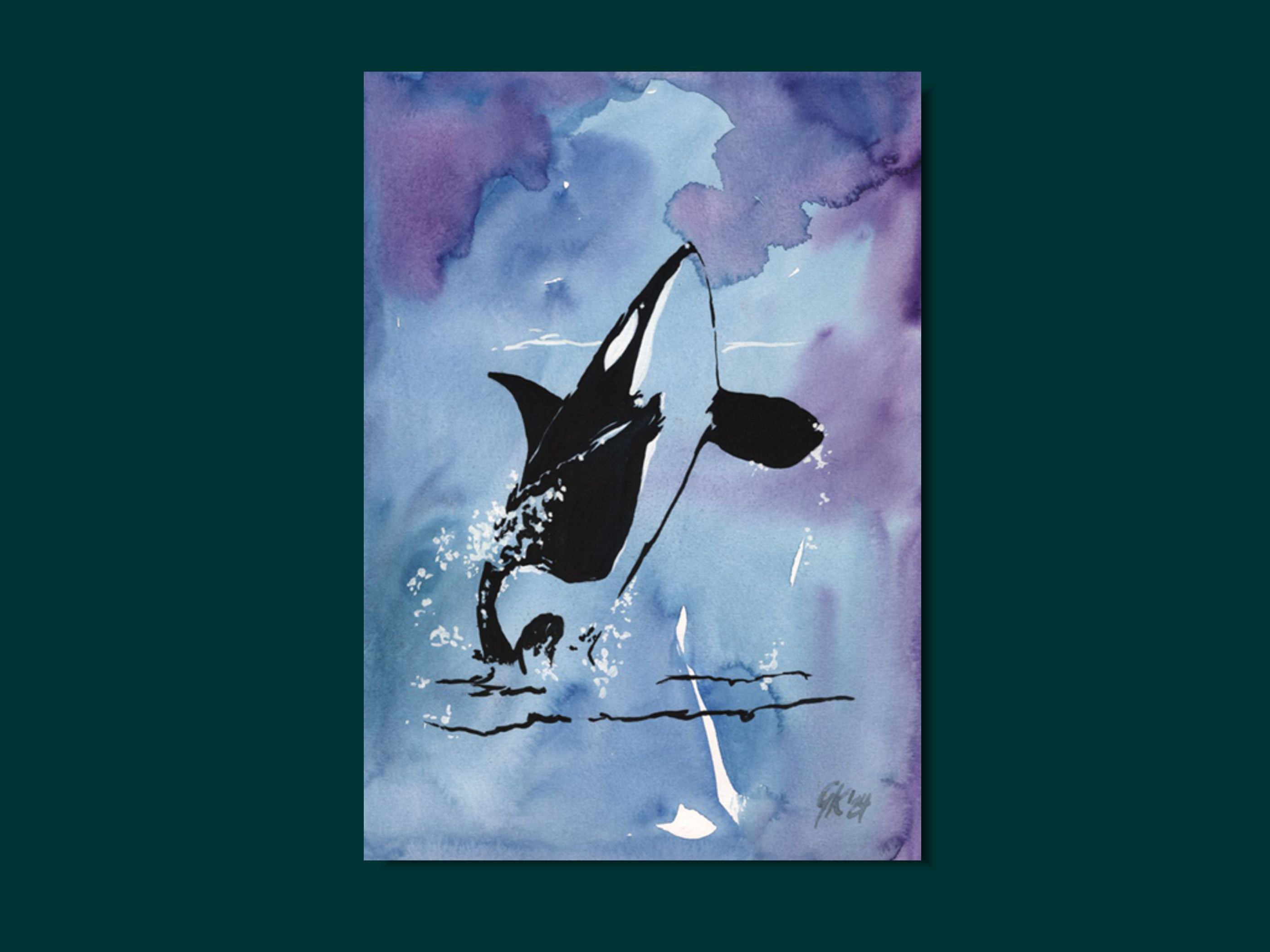 Dim Orca | Aquarell