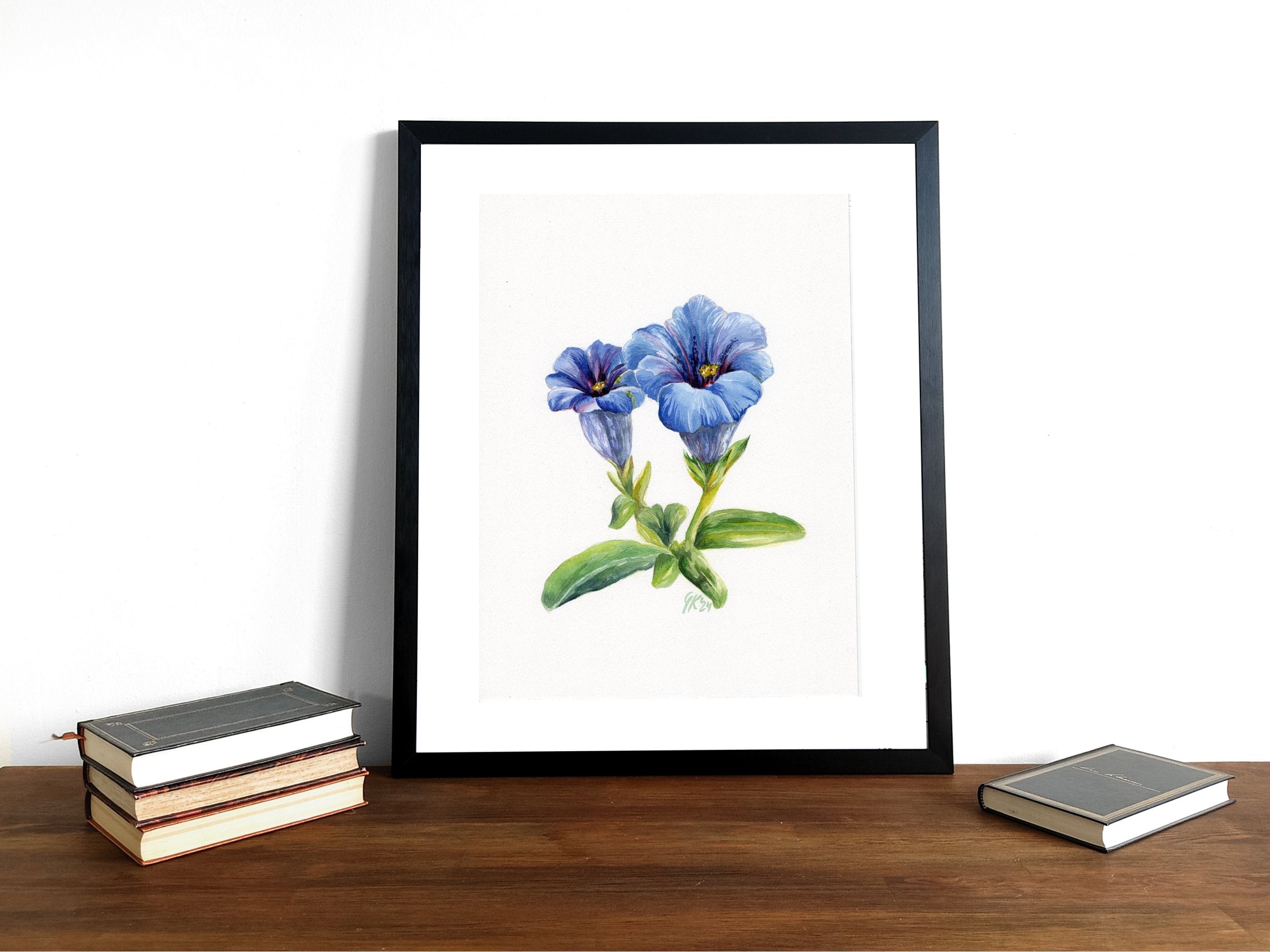 Alpen-Enzian - Fine Art Print | A3 | A4
