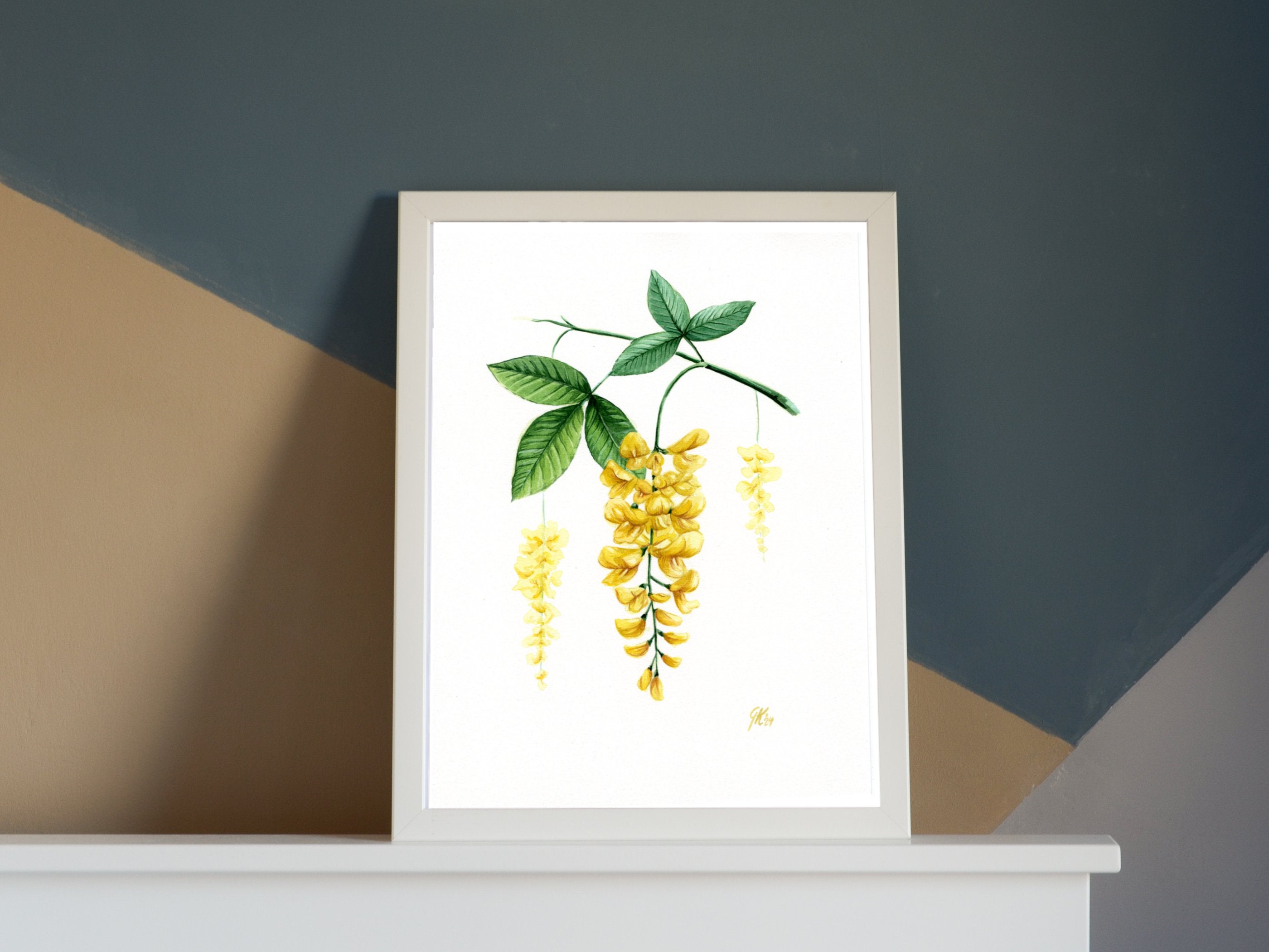 Goldregen | Aquarell