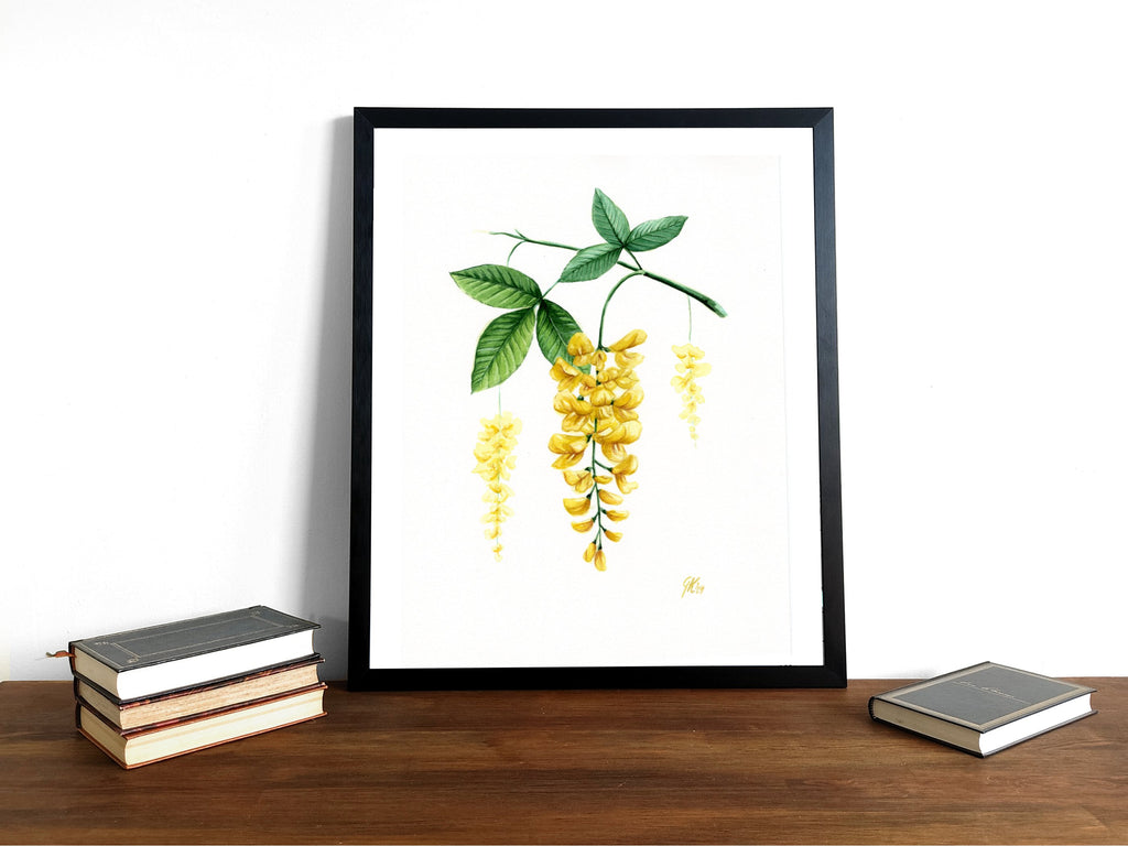 Goldregen | Aquarell
