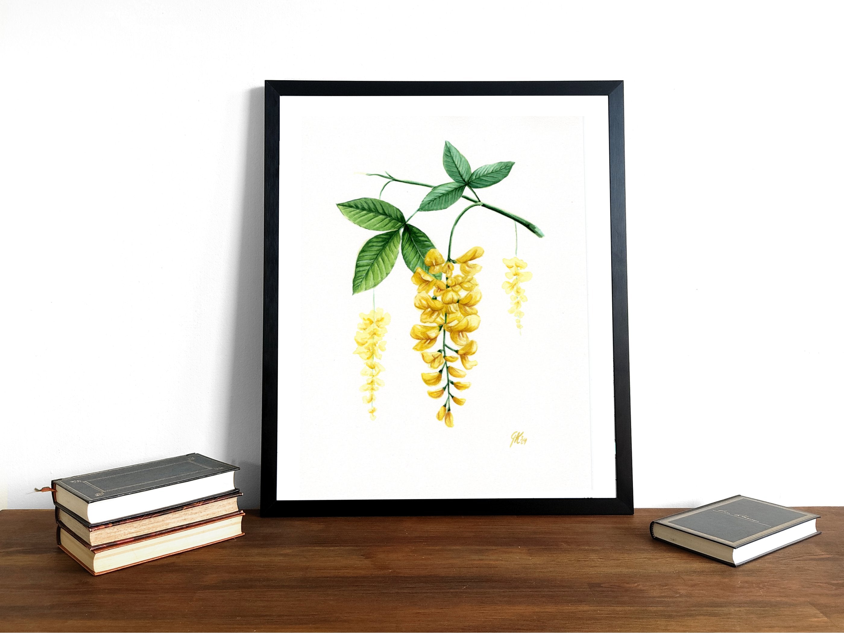 Goldregen | Aquarell
