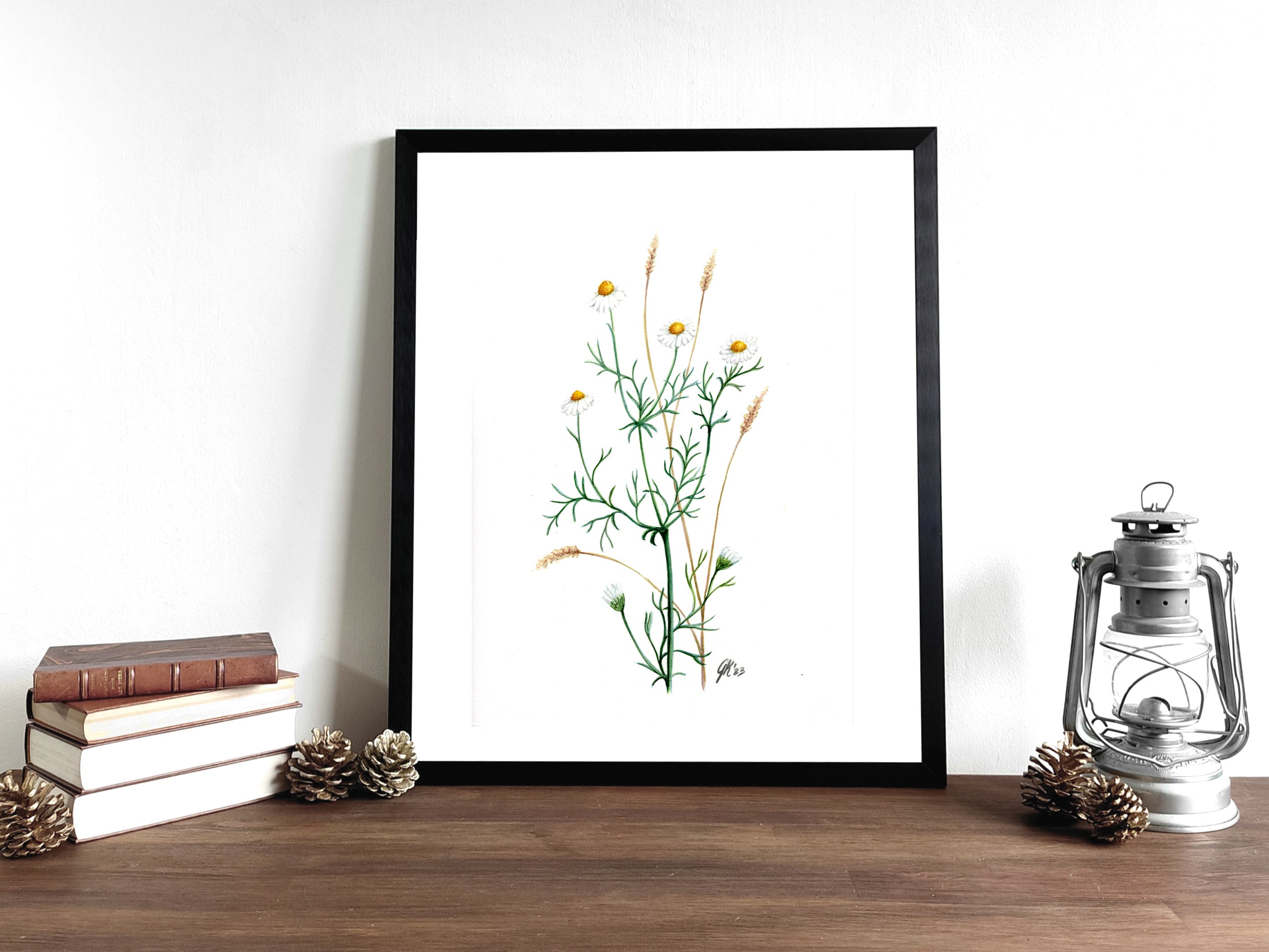 Kamille - Fine Art Print | A3 | A4