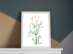 Kamille - Fine Art Print | A3 | A4
