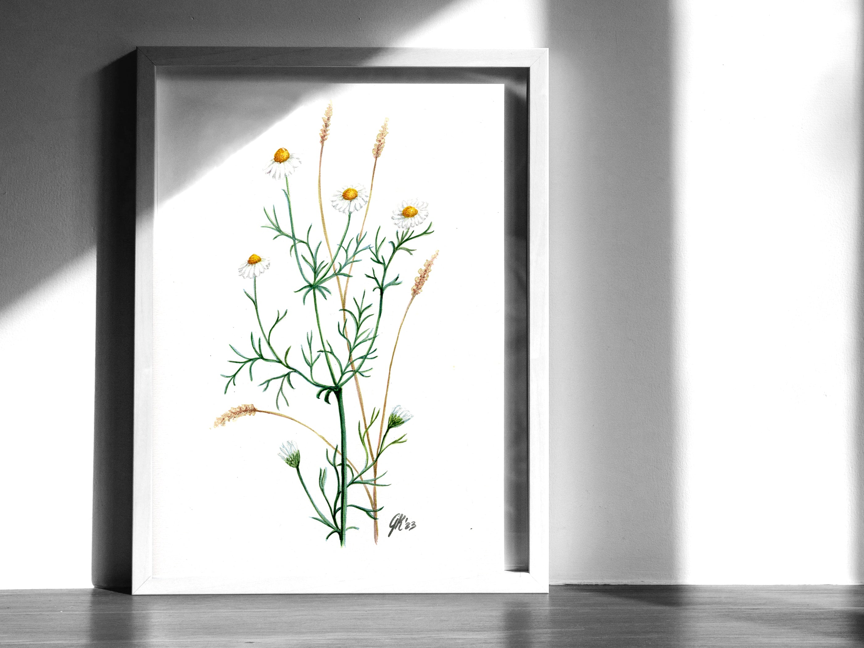 Kamille - Fine Art Print | A3 | A4