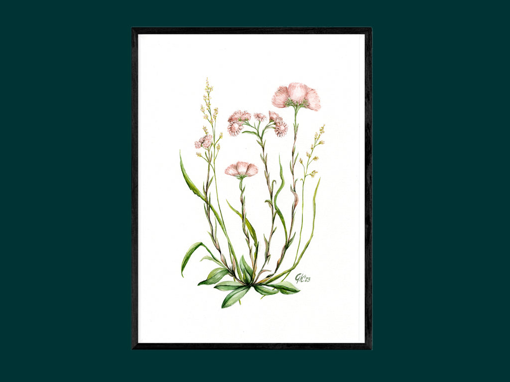 Katzenpfötchen - Fine Art Print | A3 | A4