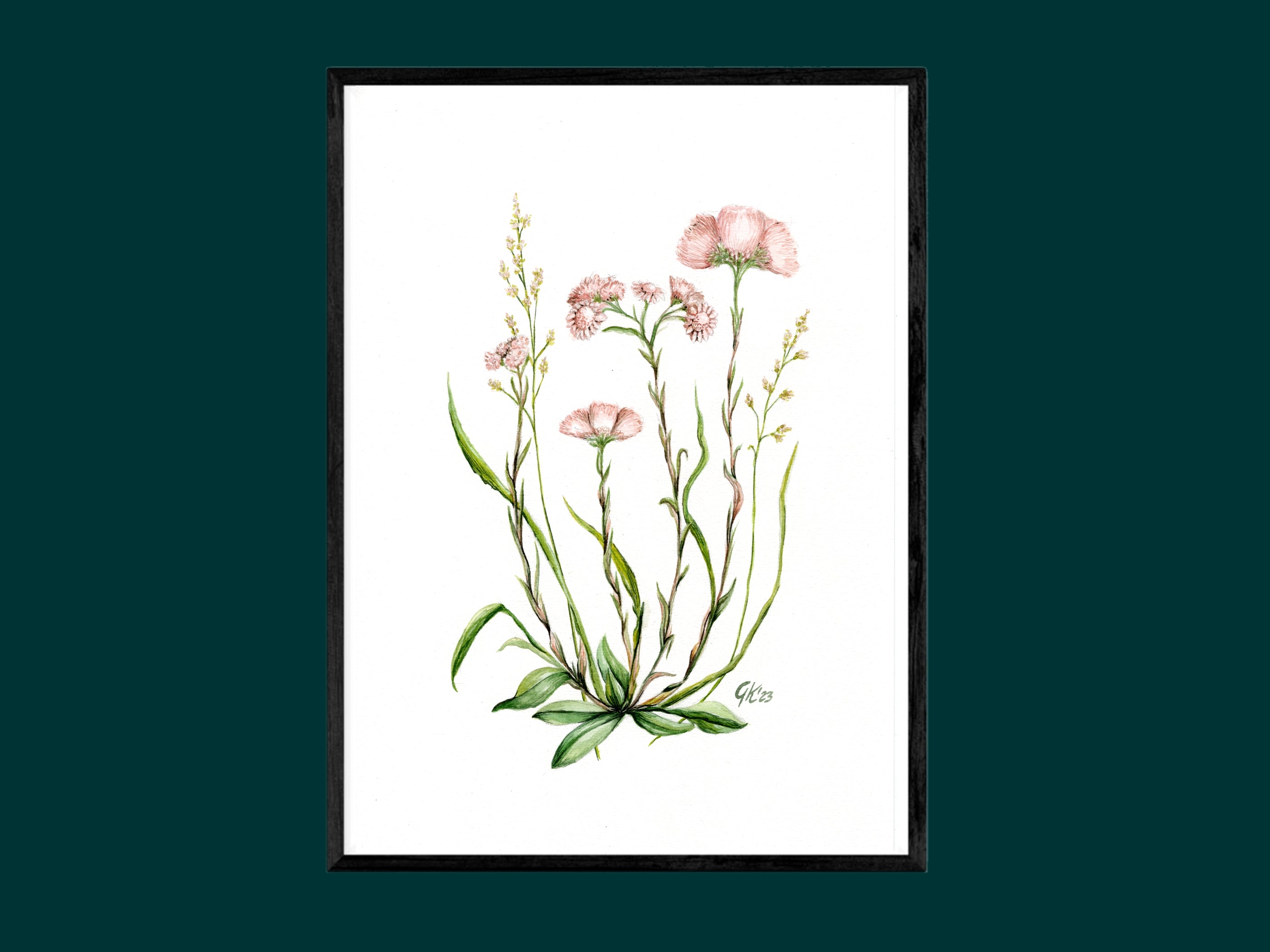 Katzenpfötchen | Aquarell