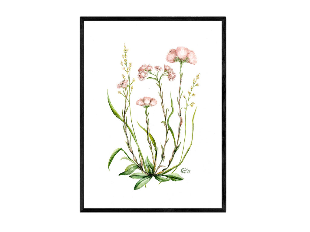 Katzenpfötchen | Aquarell